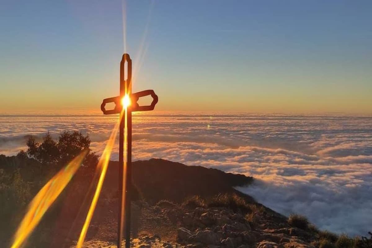 Sierra Blanca Trail — corredores en Sierra Blanca, Marbella